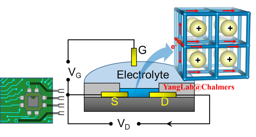 electrochemical solutions for intelligence and sustainability